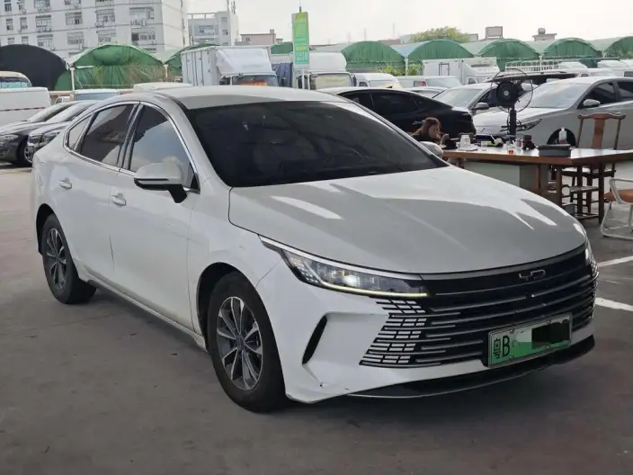 BYD Destroyer 05 2024 Model Honor Edition DM-i 55KM Luxury Model – фото 3