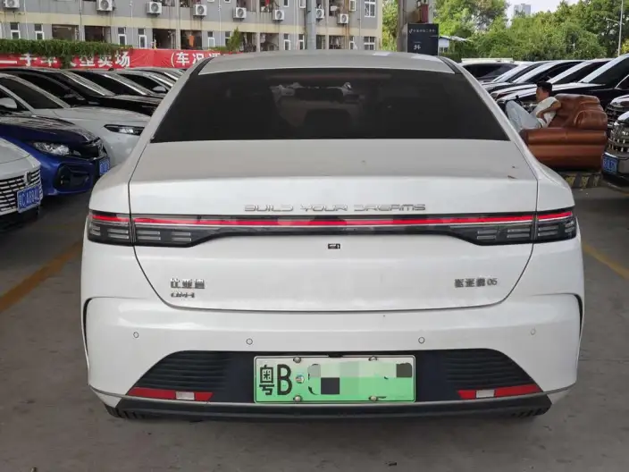 BYD Destroyer 05 2024 Model Honor Edition DM-i 55KM Luxury Model – фото 5
