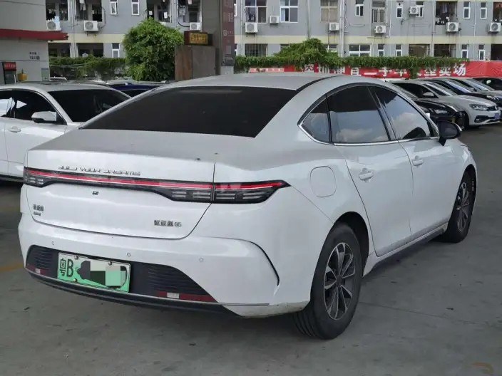 BYD Destroyer 05 2024 Model Honor Edition DM-i 55KM Luxury Model – фото 6