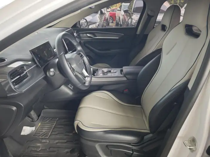 BYD Destroyer 05 2024 Model Honor Edition DM-i 55KM Luxury Model – фото 8