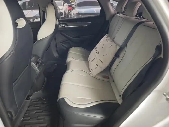 BYD Destroyer 05 2024 Model Honor Edition DM-i 55KM Luxury Model – фото 9