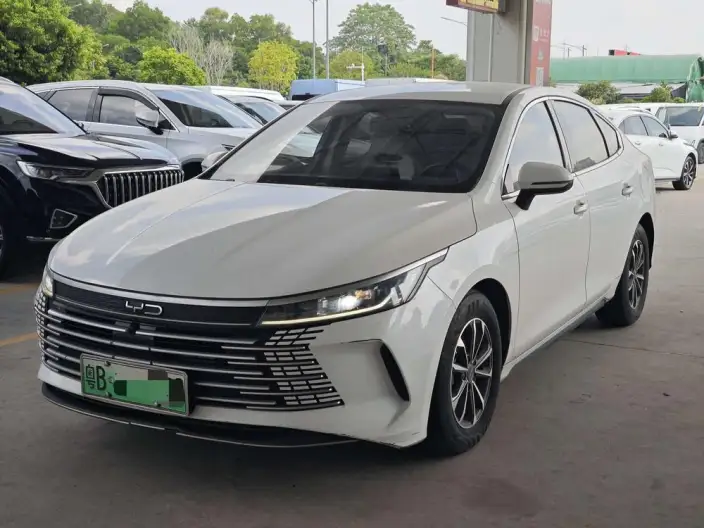BYD Destroyer 05 2024 Model Honor Edition DM-i 55KM Luxury Model – фото 10