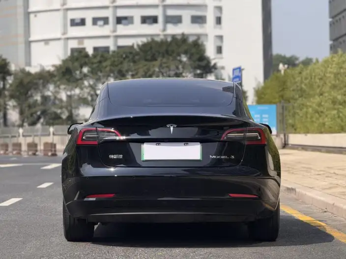 Model 3 2022 Model Rear-wheel drive version – фото 6