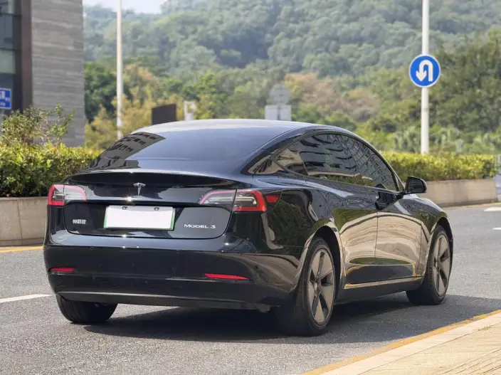 Model 3 2022 Model Rear-wheel drive version – фото 7