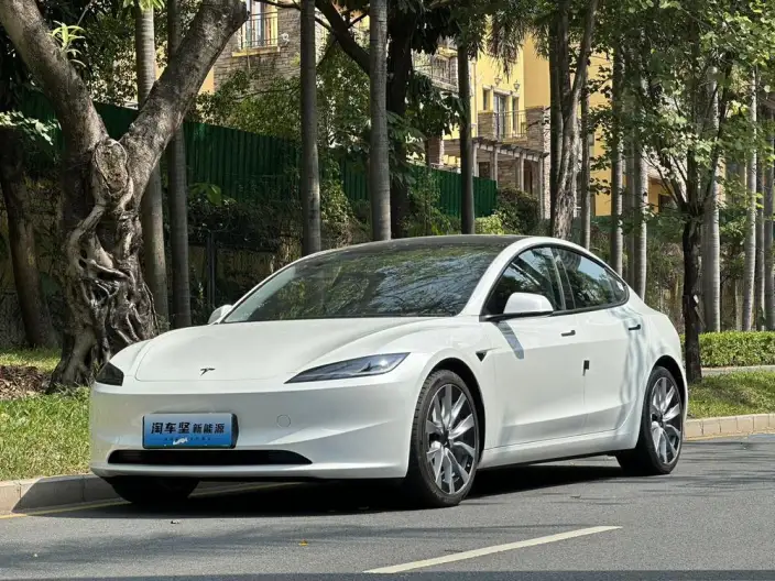 Model 3 2023 Model Long Battery Life Pro All-wheel drive version – фото 1