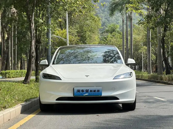 Model 3 2023 Model Long Battery Life Pro All-wheel drive version – фото 2