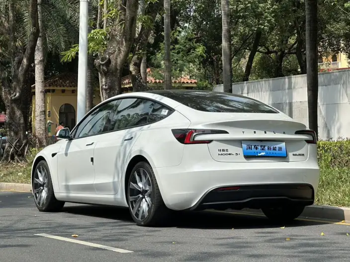 Model 3 2023 Model Long Battery Life Pro All-wheel drive version – фото 4