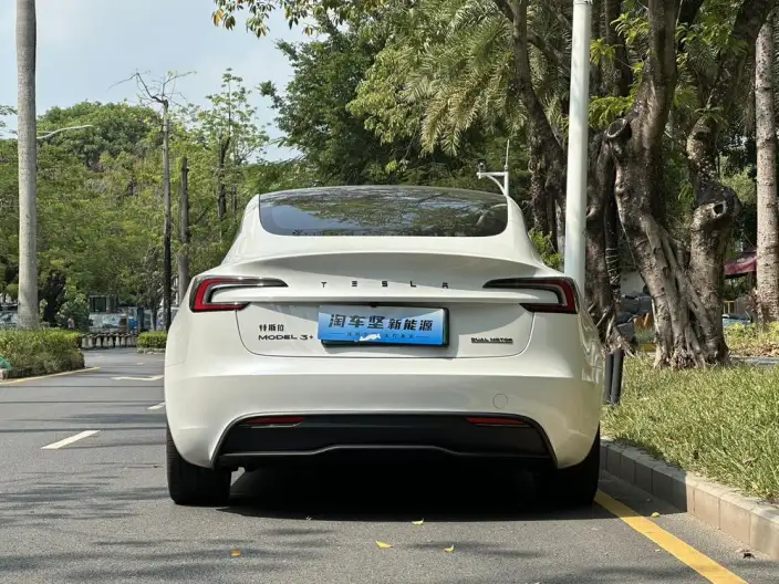 Model 3 2023 Model Long Battery Life Pro All-wheel drive version – фото 5