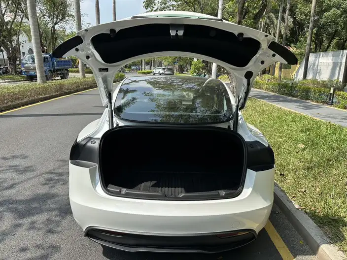 Model 3 2023 Model Long Battery Life Pro All-wheel drive version – фото 8