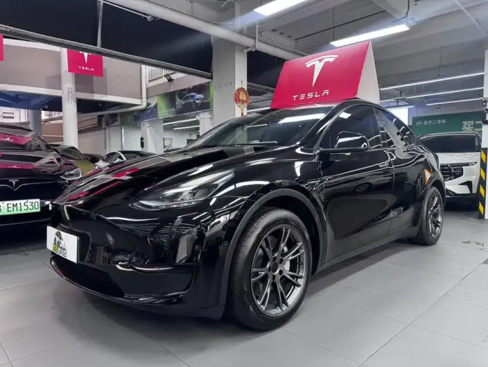 Model Y 2023 Model Rear-wheel drive version – фото 1