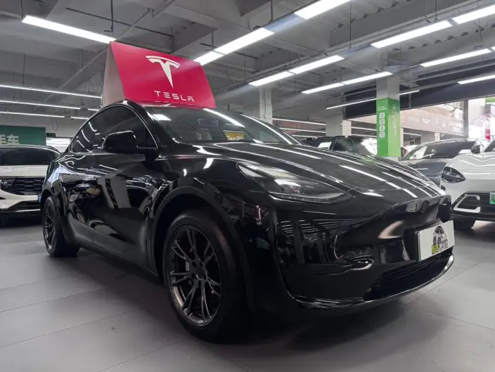 Model Y 2023 Model Rear-wheel drive version – фото 3