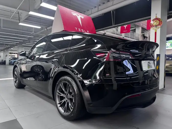 Model Y 2023 Model Rear-wheel drive version – фото 5