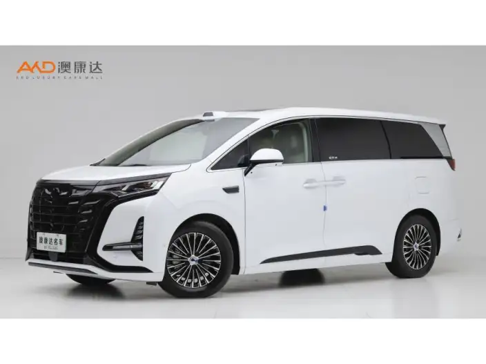 DENZA D9 DM 2025 Model Smart Driving Edition 1020 4WD Exclusive Model – фото 1