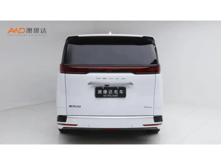 DENZA D9 DM 2025 Model Smart Driving Edition 1020 4WD Exclusive Model – фото 3