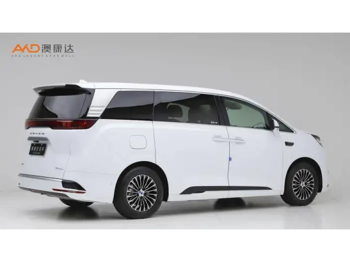 DENZA D9 DM 2025 Model Smart Driving Edition 1020 4WD Exclusive Model – фото 4