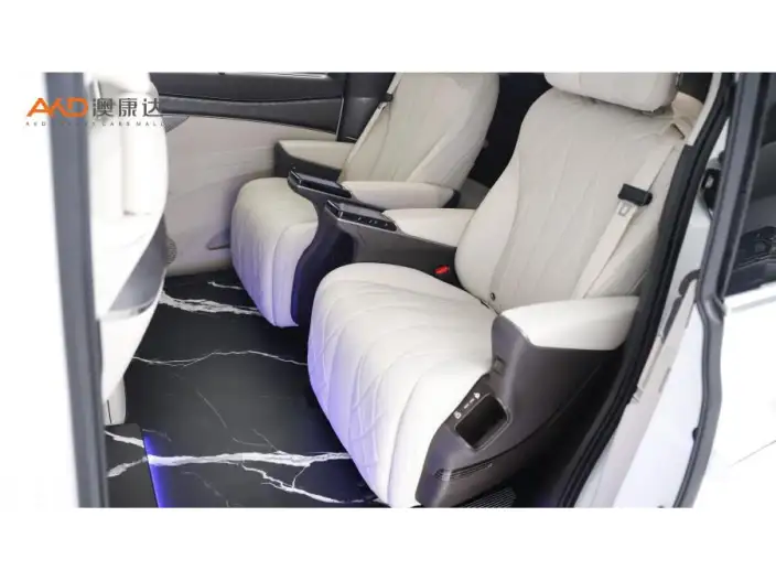 DENZA D9 DM 2025 Model Smart Driving Edition 1020 4WD Exclusive Model – фото 5