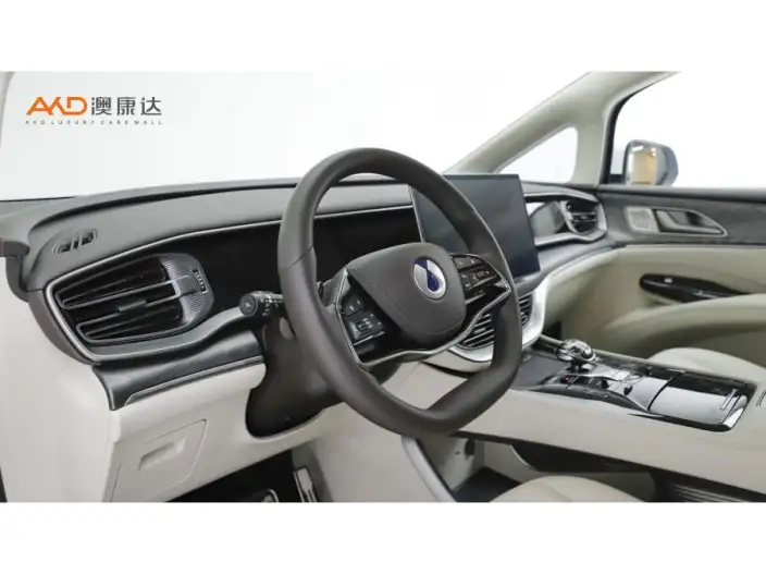 DENZA D9 DM 2025 Model Smart Driving Edition 1020 4WD Exclusive Model – фото 8