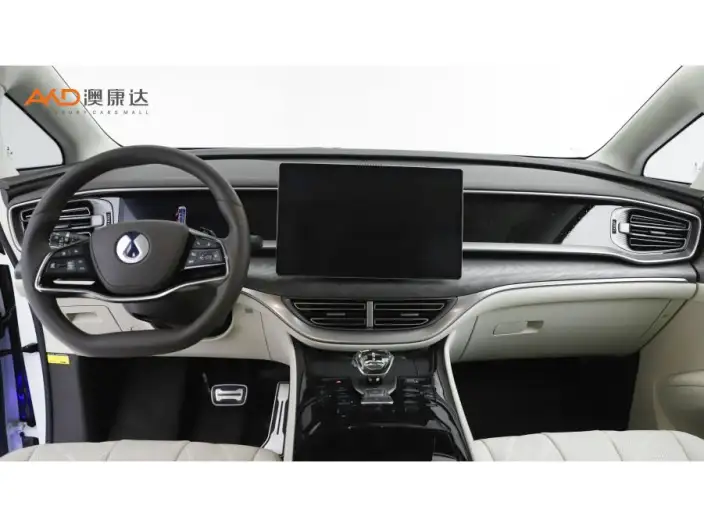 DENZA D9 DM 2025 Model Smart Driving Edition 1020 4WD Exclusive Model – фото 9