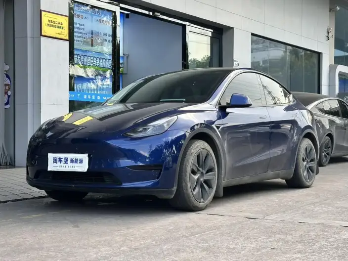 Model Y 2023 Model Rear-wheel drive version – фото 1