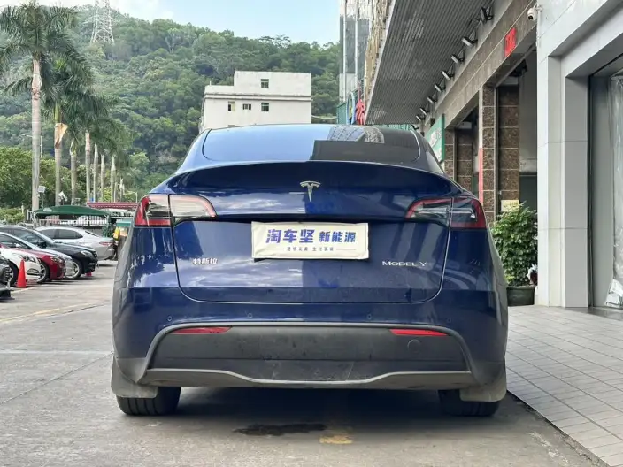 Model Y 2023 Model Rear-wheel drive version – фото 5