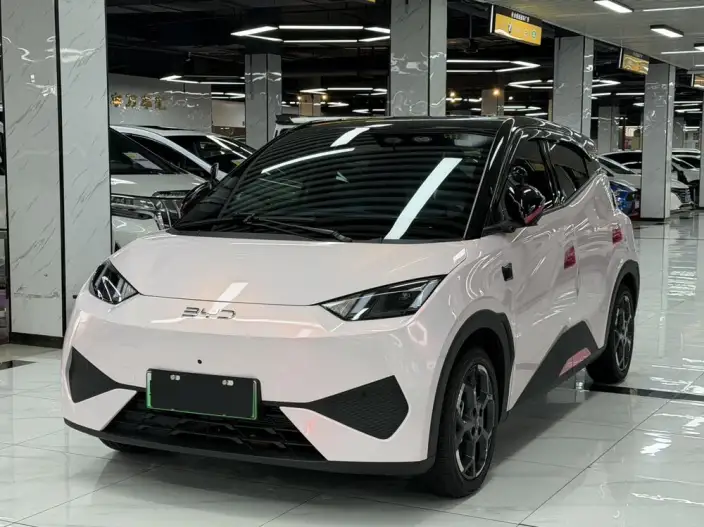 BYD Seagull 2025 Model Smart Driving Edition 305KM Free Edition – фото 1