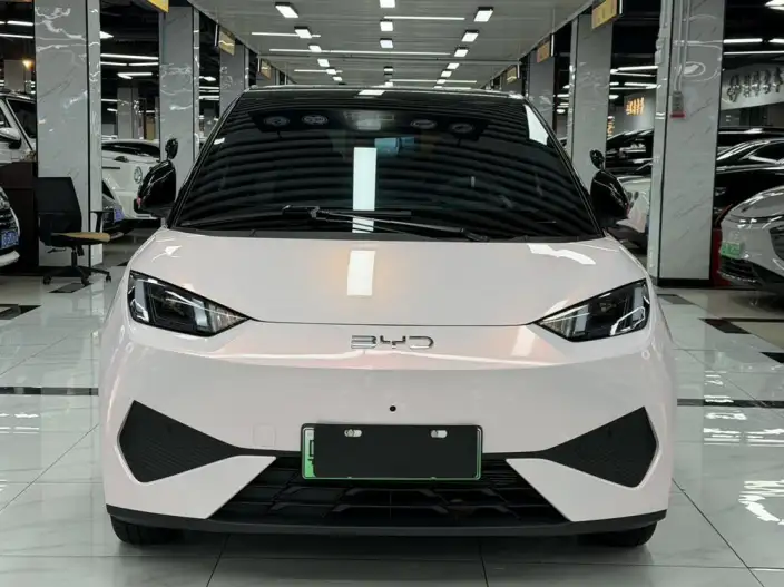 BYD Seagull 2025 Model Smart Driving Edition 305KM Free Edition – фото 2