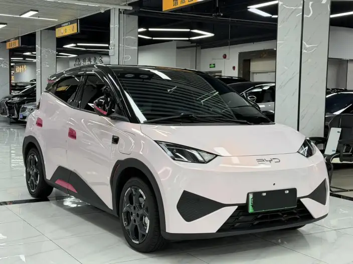 BYD Seagull 2025 Model Smart Driving Edition 305KM Free Edition – фото 3