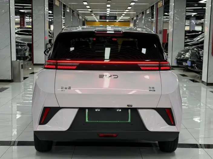 BYD Seagull 2025 Model Smart Driving Edition 305KM Free Edition – фото 6