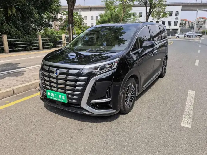 DENZA D9 DM 2024 Model 970 Luxury Model