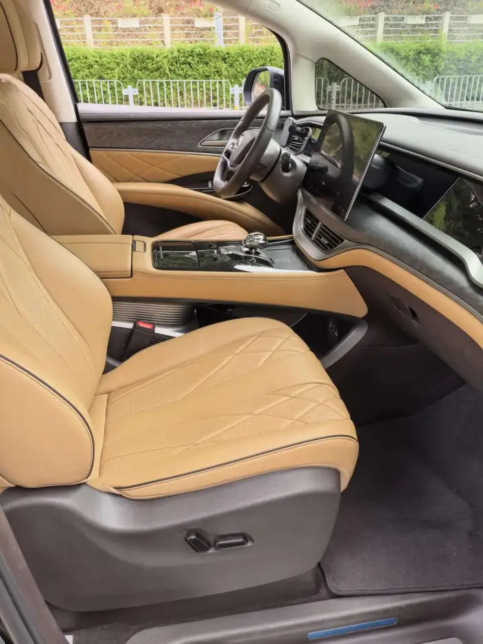 DENZA D9 DM 2024 Model 970 Luxury Model – фото 8
