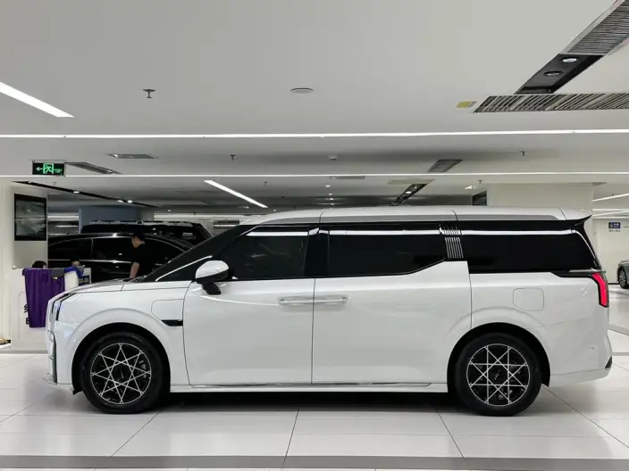 ZEEKR 009 2024 Model VI seat Executive Edition 4WD 108kWh – фото 4