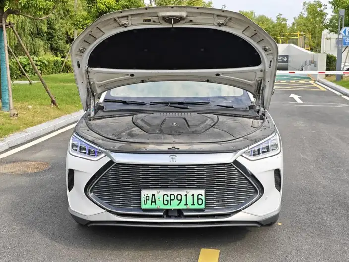 BYD Song PLUS DM 2021 Model DM-i 51KM 2WD Noble Model – фото 5