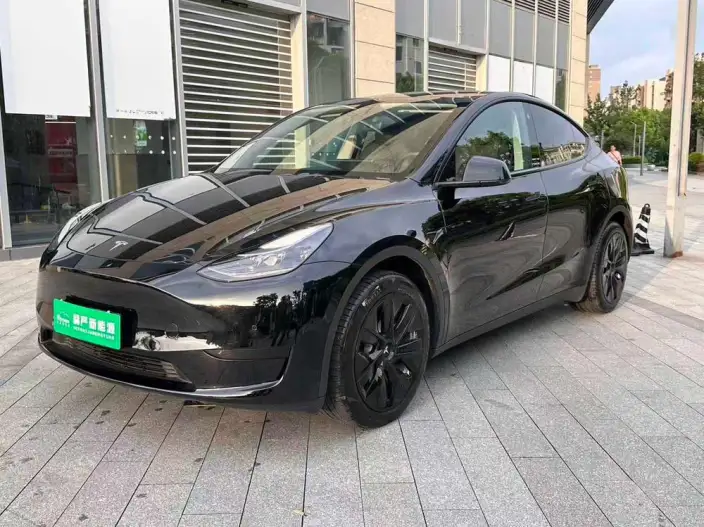 Model Y 2022 Model Rear-wheel drive version – фото 1