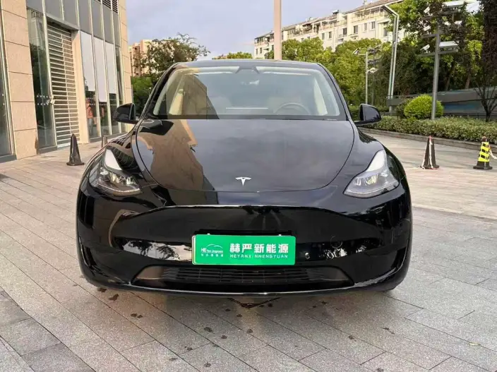 Model Y 2022 Model Rear-wheel drive version – фото 2