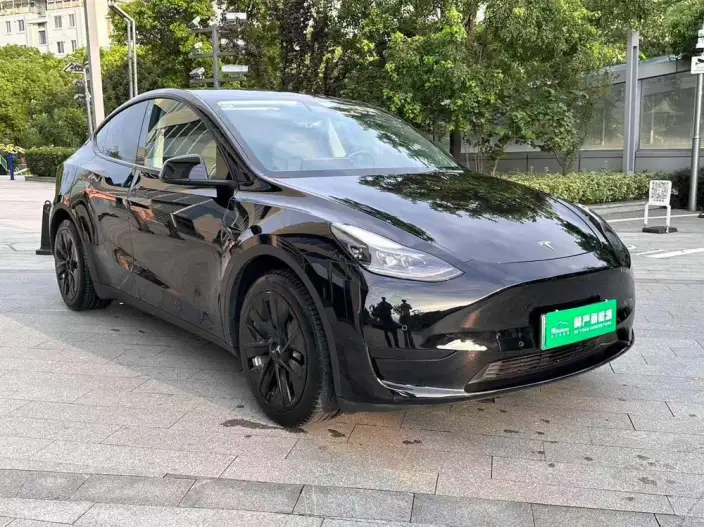 Model Y 2022 Model Rear-wheel drive version – фото 3