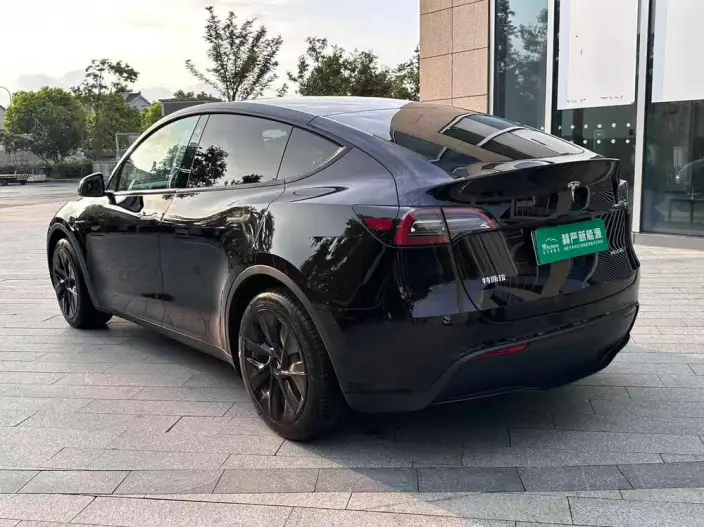 Model Y 2022 Model Rear-wheel drive version – фото 4