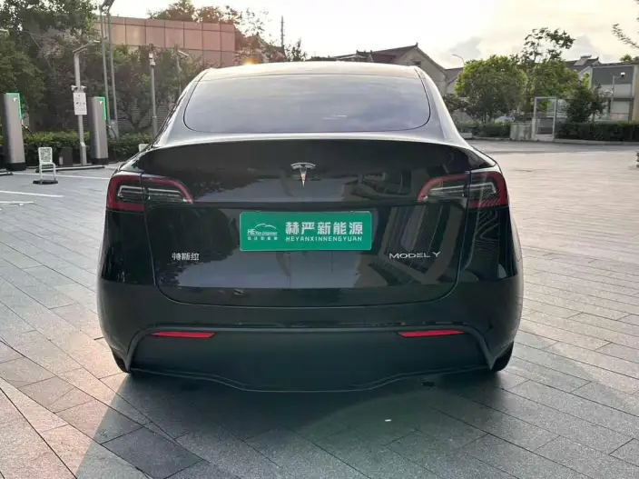 Model Y 2022 Model Rear-wheel drive version – фото 5