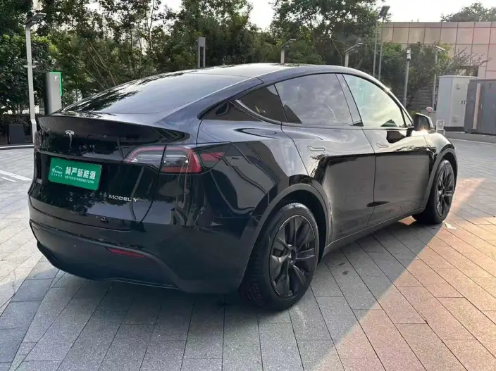 Model Y 2022 Model Rear-wheel drive version – фото 6
