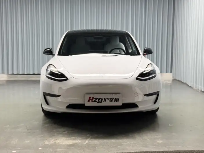 Model 3 2022 Model Performance High performance All-wheel drive version – фото 2