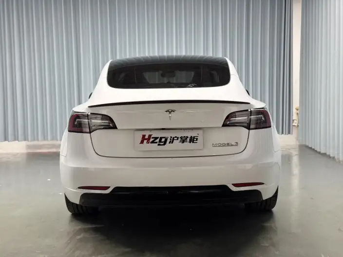 Model 3 2022 Model Performance High performance All-wheel drive version – фото 3