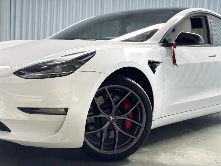 Model 3 2022 Model Performance High performance All-wheel drive version – фото 5