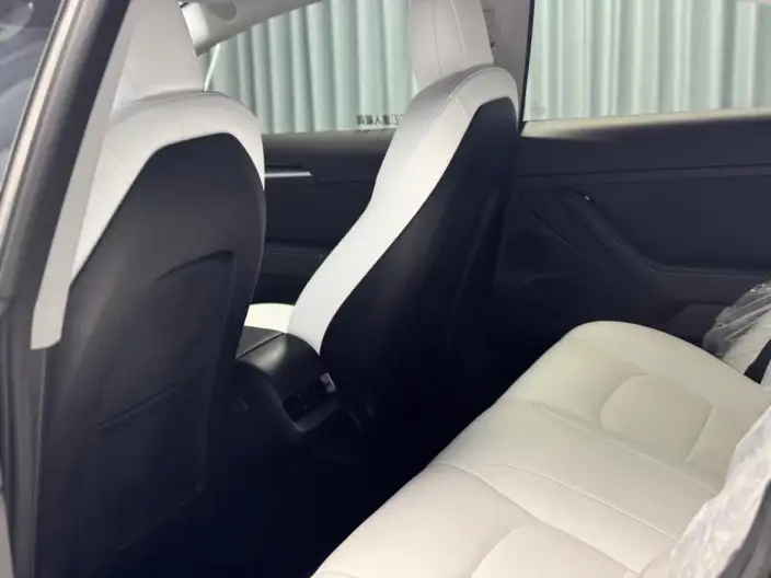 Model 3 2022 Model Performance High performance All-wheel drive version – фото 9