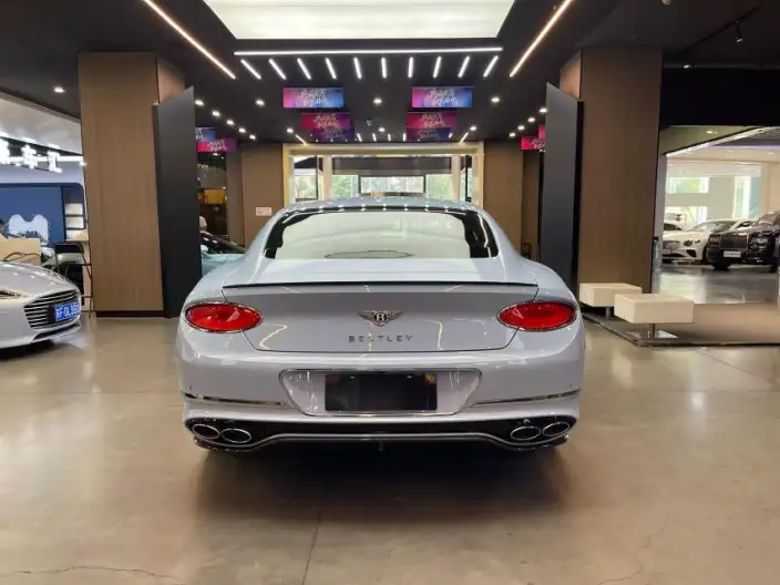 Continental 2022 Model 4.0T GT V8 – фото 5