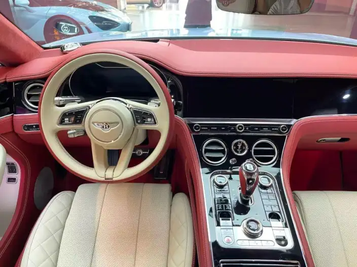 Continental 2022 Model 4.0T GT V8 – фото 7