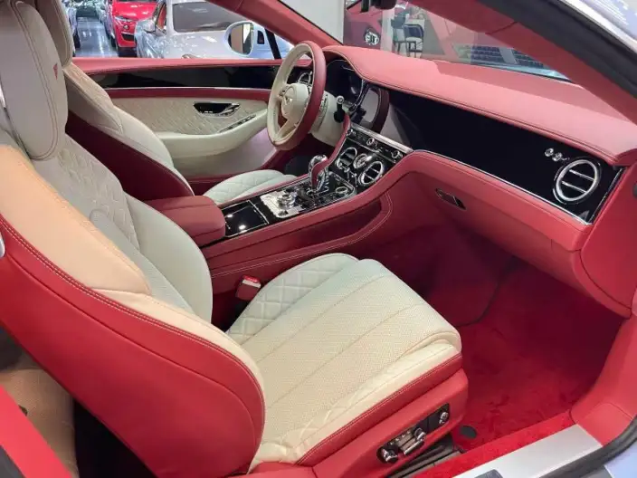 Continental 2022 Model 4.0T GT V8 – фото 9