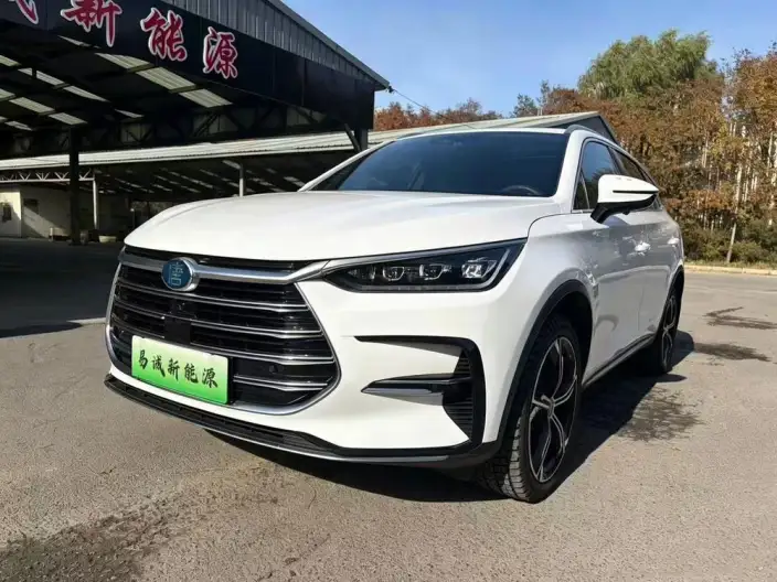 BYD Tang DM 2023 Model DM-i Champion Edition 112KM Zunrong Model – фото 1