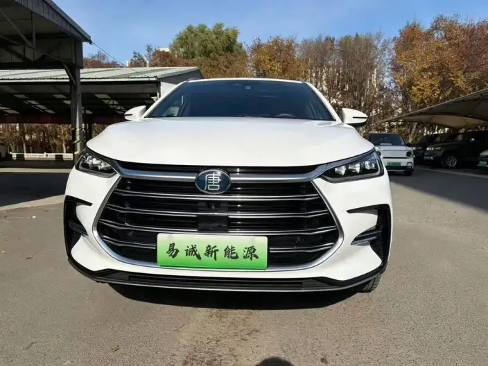 BYD Tang DM 2023 Model DM-i Champion Edition 112KM Zunrong Model – фото 2