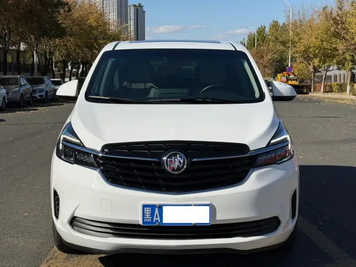 Buick GL8 2022 Model Business class 652T Luxury Model – фото 2