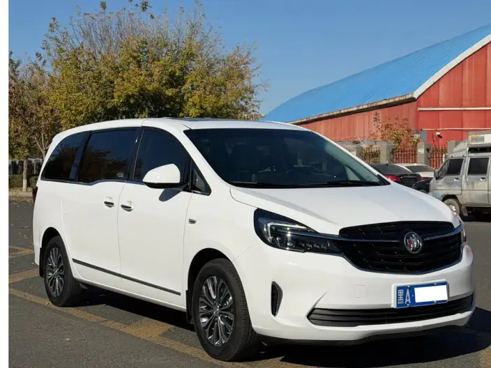 Buick GL8 2022 Model Business class 652T Luxury Model – фото 3