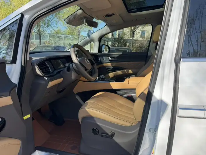 DENZA D9 DM 2022 Model 970 4WD Flagship Model – фото 10
